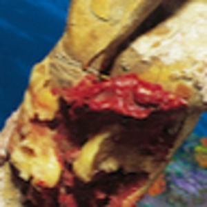 Meet your Posher, Anqi